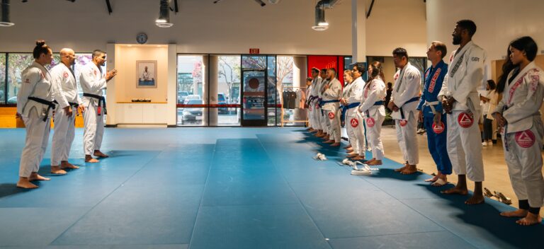 BJJ Classes Near Me